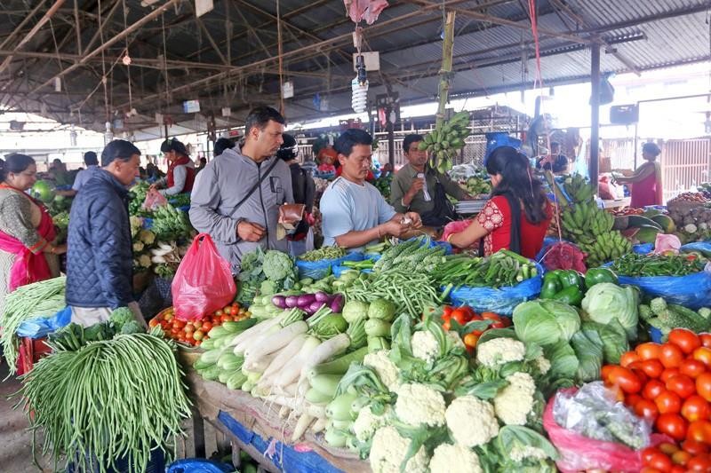 प्राविधिक सहायकको भरमा तरकारी, फलफूल परीक्षण