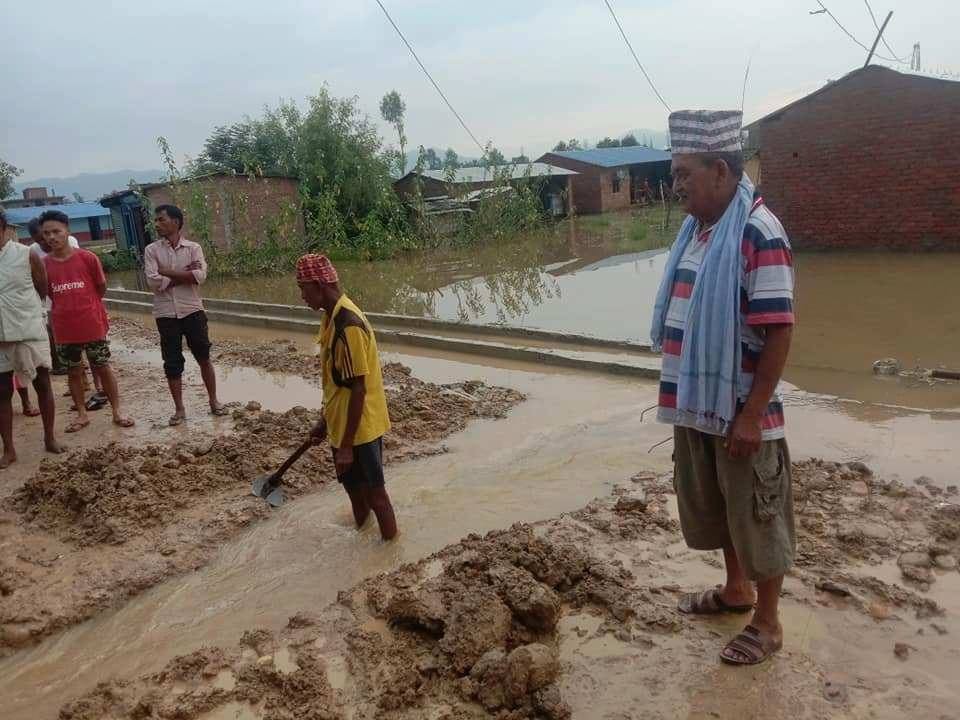 अविरल वर्षाले बाँकेका दर्जन बढी गाउँ डुबानमा