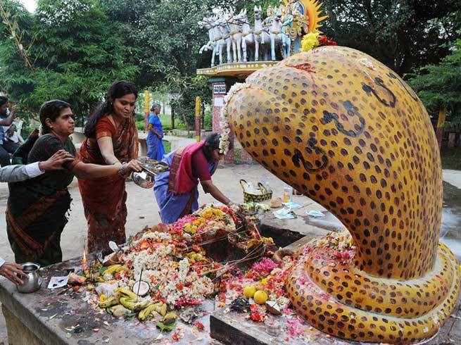 आज नाग पञ्चमी, घरघरमा नागको पूजा गरि मनाइदैँ