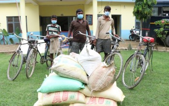 बर्दिया प्रहरीद्वारा १६ लाख बढिको केराउ बरामद