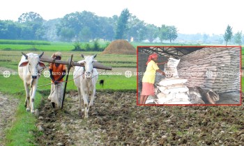 बाँकेका किसानलाई वर्षेनी रासायनिक मल पाउन सकस