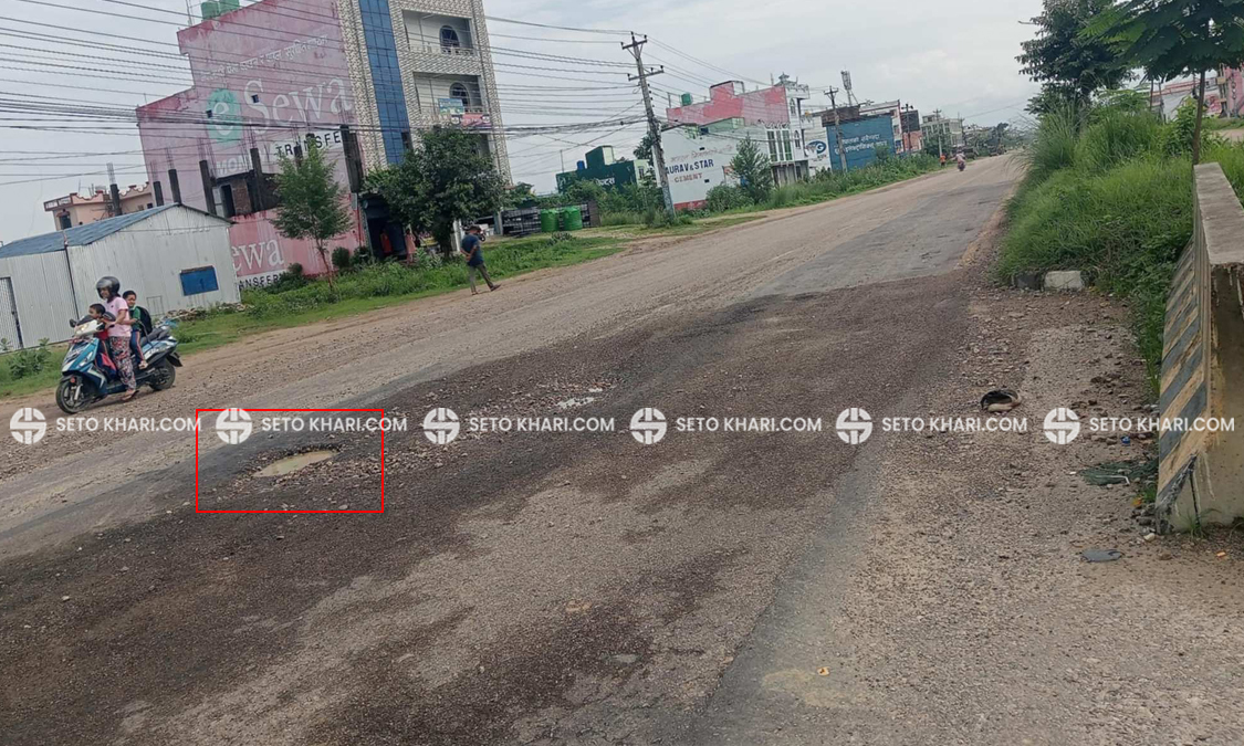 Kohalpur_npj_road-1-1723281833.jpg