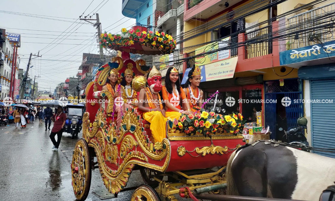 gaijatra_npj-2-1724136481.jpg